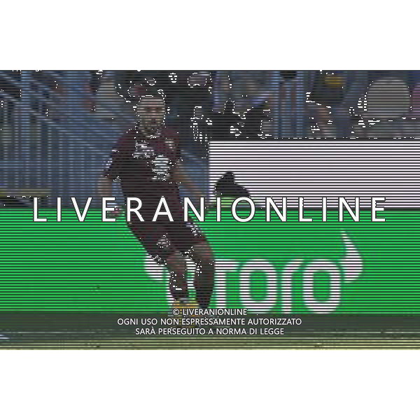 Frosinone vs Torino - Campionato Serie A TIM - 15 giornata - Stadio B.Stirpe - Frosinone 10-12-2023 nella foto Nikola Vlasic foto federico gaetano -ag aldo liverani sas