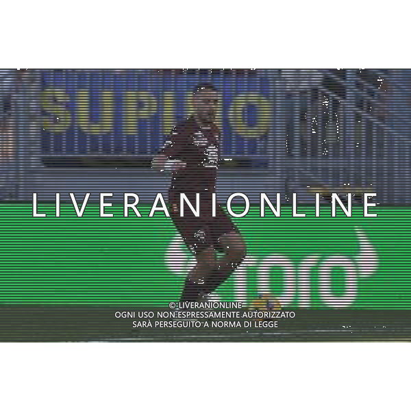 Frosinone vs Torino - Campionato Serie A TIM - 15 giornata - Stadio B.Stirpe - Frosinone 10-12-2023 nella foto Nikola Vlasic foto federico gaetano -ag aldo liverani sas