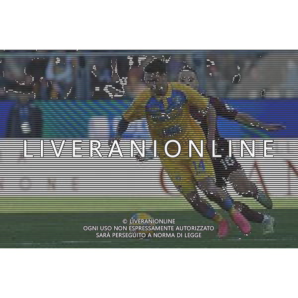 Frosinone vs Torino - Campionato Serie A TIM - 15 giornata - Stadio B.Stirpe - Frosinone 10-12-2023 nella foto Francesco Gelli foto federico gaetano -ag aldo liverani sas