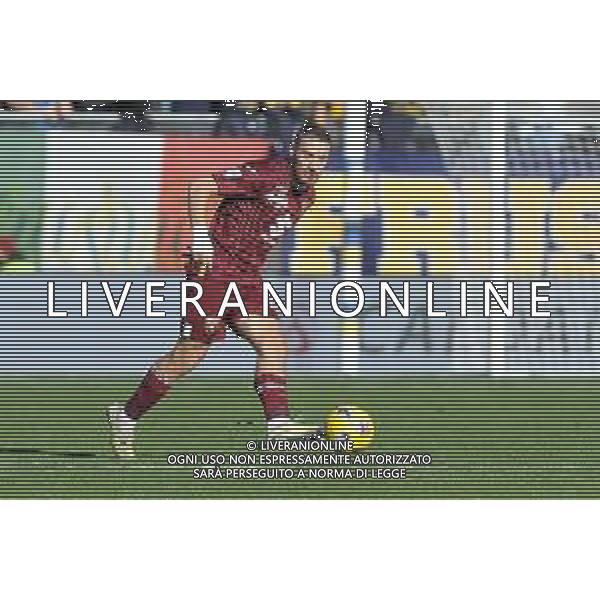 Frosinone vs Torino - Campionato Serie A TIM - 15 giornata - Stadio B.Stirpe - Frosinone 10-12-2023 nella foto Nikola Vlasic foto federico gaetano -ag aldo liverani sas