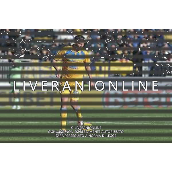 Frosinone vs Torino - Campionato Serie A TIM - 15 giornata - Stadio B.Stirpe - Frosinone 10-12-2023 nella foto Ilario Monterisi foto federico gaetano -ag aldo liverani sas