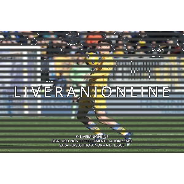 Frosinone vs Torino - Campionato Serie A TIM - 15 giornata - Stadio B.Stirpe - Frosinone 10-12-2023 nella foto Matias Soulè foto federico gaetano -ag aldo liverani sas