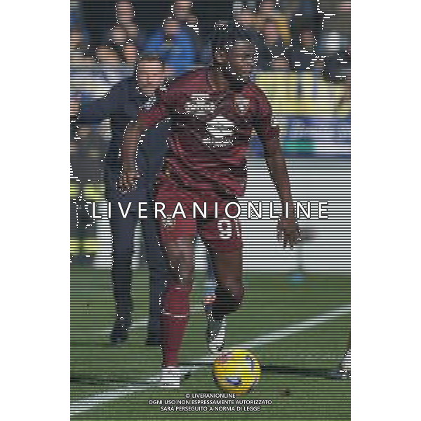 Frosinone vs Torino - Campionato Serie A TIM - 15 giornata - Stadio B.Stirpe - Frosinone 10-12-2023 nella foto Duvan Zapata foto federico gaetano -ag aldo liverani sas