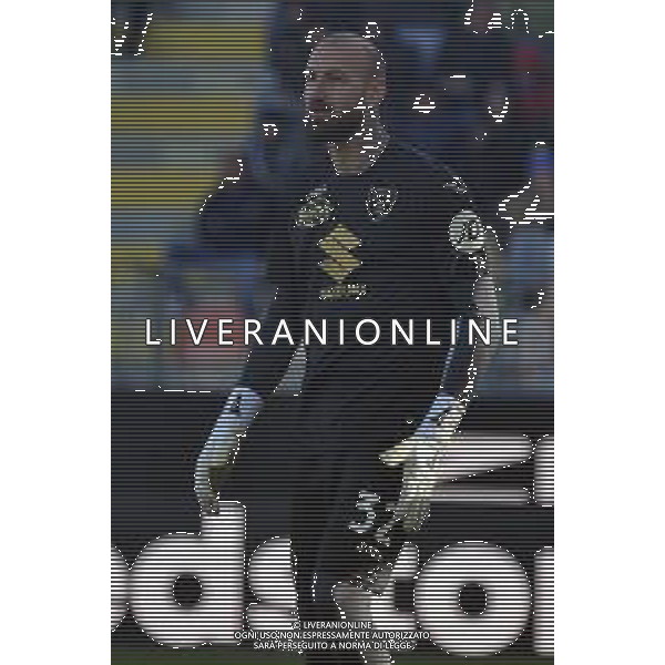 Frosinone vs Torino - Campionato Serie A TIM - 15 giornata - Stadio B.Stirpe - Frosinone 10-12-2023 nella foto Vanja Milinkovic Savic foto federico gaetano -ag aldo liverani sas