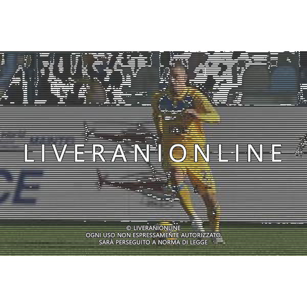 Frosinone vs Torino - Campionato Serie A TIM - 15 giornata - Stadio B.Stirpe - Frosinone 10-12-2023 nella foto Arijon Ibrahimovic foto federico gaetano -ag aldo liverani sas