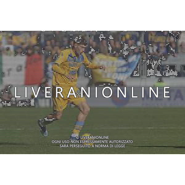 Frosinone vs Torino - Campionato Serie A TIM - 15 giornata - Stadio B.Stirpe - Frosinone 10-12-2023 nella foto Matias Soulè foto federico gaetano -ag aldo liverani sas