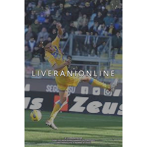 Frosinone vs Torino - Campionato Serie A TIM - 15 giornata - Stadio B.Stirpe - Frosinone 10-12-2023 nella foto Ilario Monterisi foto federico gaetano -ag aldo liverani sas