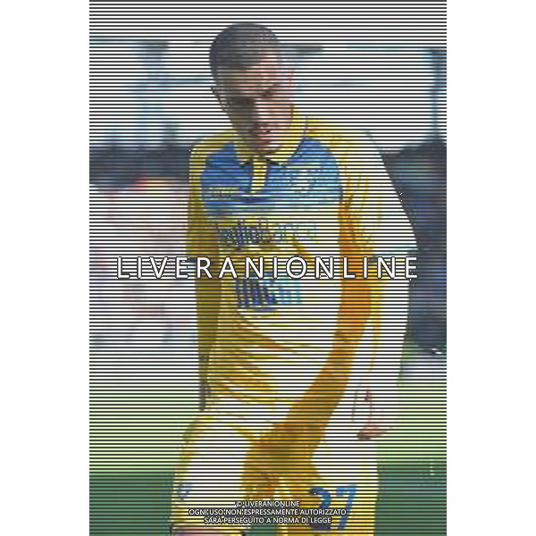 Frosinone vs Torino - Campionato Serie A TIM - 15 giornata - Stadio B.Stirpe - Frosinone 10-12-2023 nella foto Arijon Ibrahimovic foto federico gaetano -ag aldo liverani sas