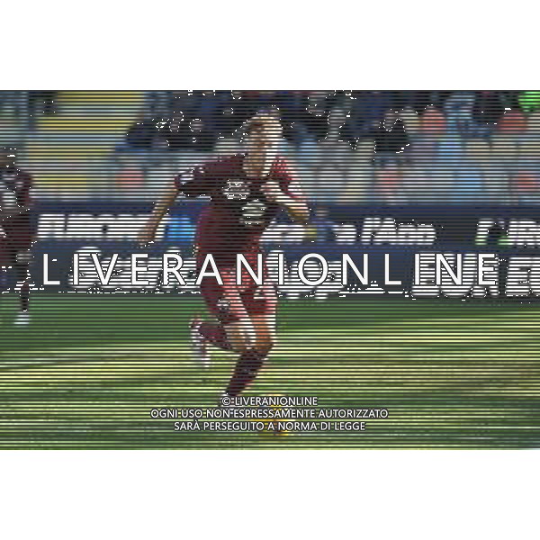 Frosinone vs Torino - Campionato Serie A TIM - 15 giornata - Stadio B.Stirpe - Frosinone 10-12-2023 nella foto Mergim Vojvoda foto federico gaetano -ag aldo liverani sas