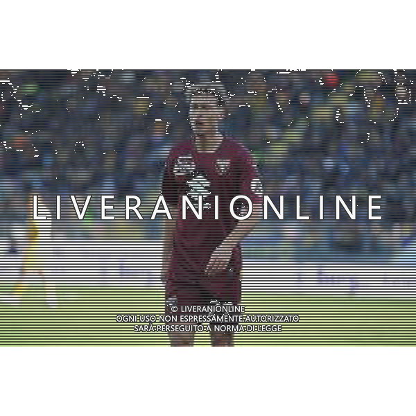 Frosinone vs Torino - Campionato Serie A TIM - 15 giornata - Stadio B.Stirpe - Frosinone 10-12-2023 nella foto Mergim Vojvoda foto federico gaetano -ag aldo liverani sas