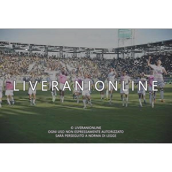 Frosinone vs Juventus - Campionato Serie A TIM - 17 giornata - Stadio B.Stirpe - Frosinone 23-12-2023 nella foto Esultanza finale Juventus FOTO FEDERICO GAETANO-AG ALDO LIVERANI SAS