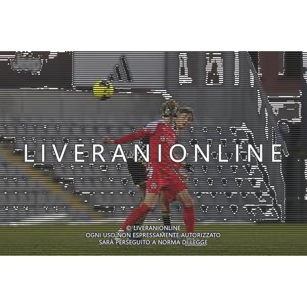 Alessandria 23.12.2023 Stadio Giuseppe Moccagatta @Manuela Viganti/Ag. Aldo Liverani sas Juventus Next Gen vs Vis Pesaro Campionato Calcio Serie C Girone B 2023/2024 19a giornata Nella foto: dejan huijsen e ottar karlsson