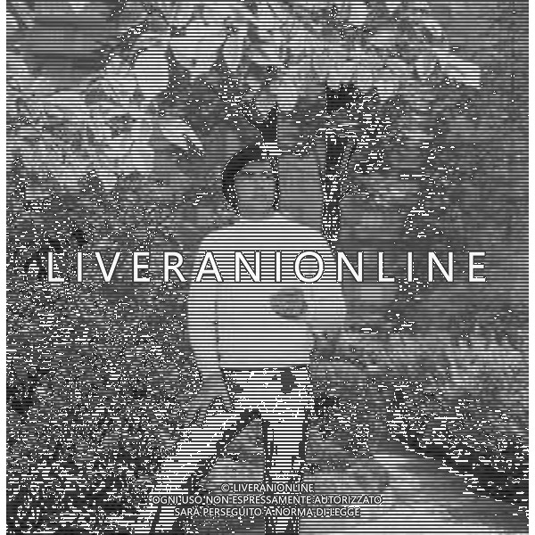 Neg- RETROSPETTIVA JOHN ROWLES CANTANTE NELLA FOTO NELL\'ANNO 1969 AG ALDO LIVERANI SAS