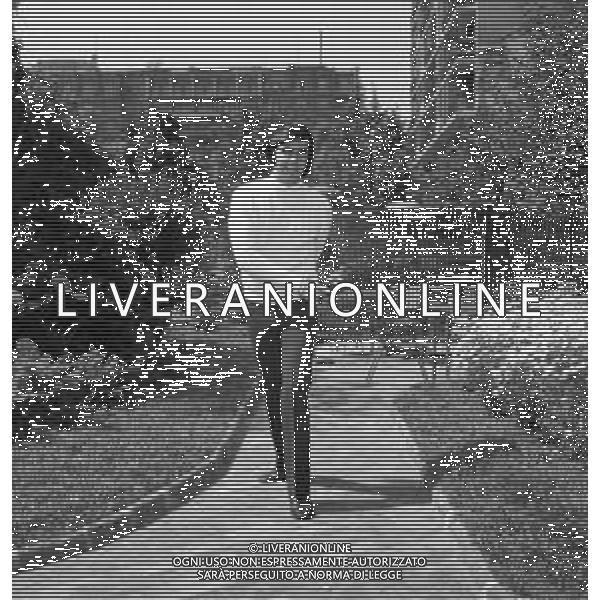 Neg- RETROSPETTIVA JOHN ROWLES CANTANTE NELLA FOTO NELL\'ANNO 1969 AG ALDO LIVERANI SAS