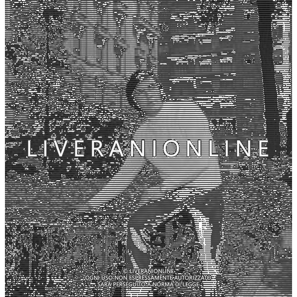 Neg- RETROSPETTIVA JOHN ROWLES CANTANTE NELLA FOTO NELL\'ANNO 1969 AG ALDO LIVERANI SAS