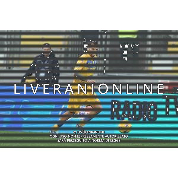 Frosinone vs Monza - Campionato Serie A TIM - 19 giornata - Stadio B.Stirpe - Frosinone 06-01-2024 nella foto Francesco Gelli FOTO FEDERICO GAETANO-AG ALDO LIVERANI SAS