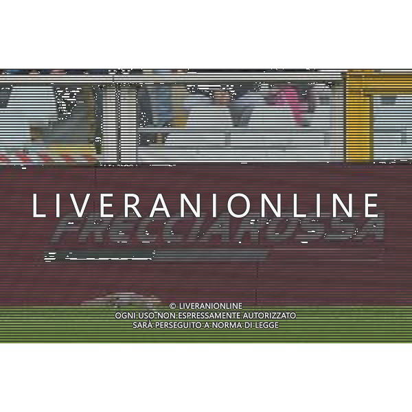 TVMV-Torino 07.01.2024 Stadio Grande Torino ©Manuela Viganti/Agenzia Aldo Liverani Torino vs Napoli Campionato Calcio Serie A TIM 2023/2024 19a giornata Nella foto: uno scoiattolo corre in campo