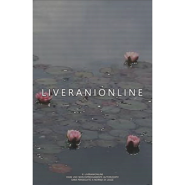 DIAP-NINFEE AG ALDO LIVERANI SAS 