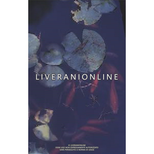 DIAP-NINFEE AG ALDO LIVERANI SAS 