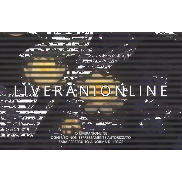 DIAP-NINFEE AG ALDO LIVERANI SAS