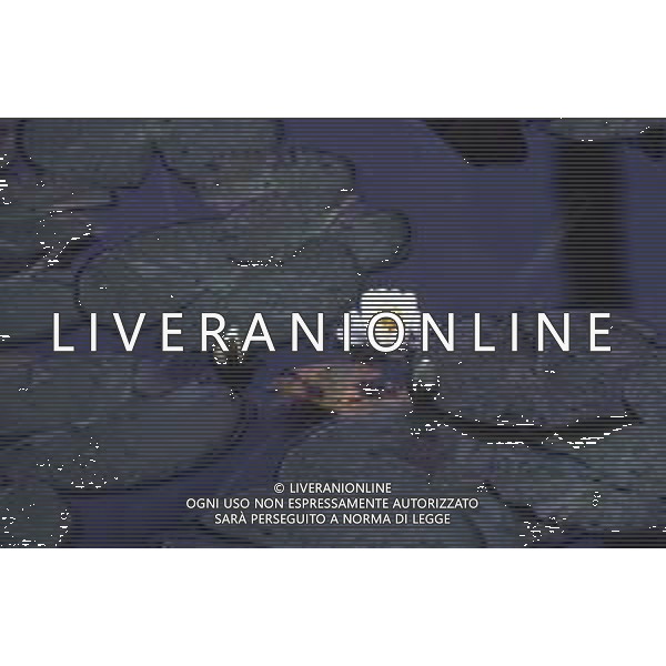 DIAP-NINFEE AG ALDO LIVERANI SAS