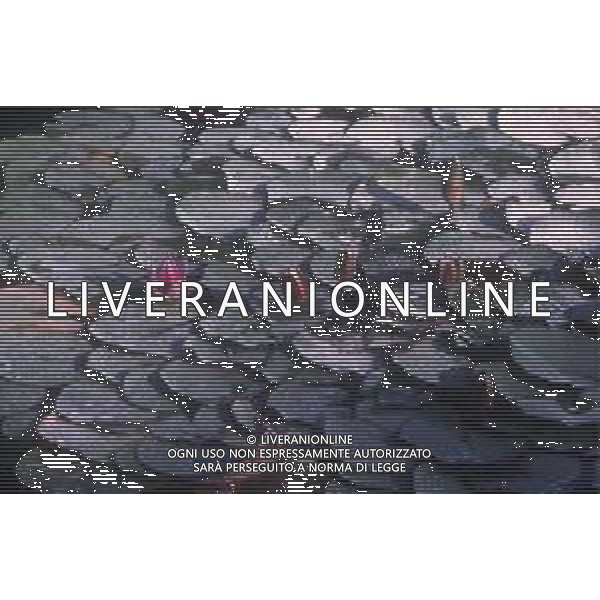DIAP-NINFEE AG ALDO LIVERANI SAS