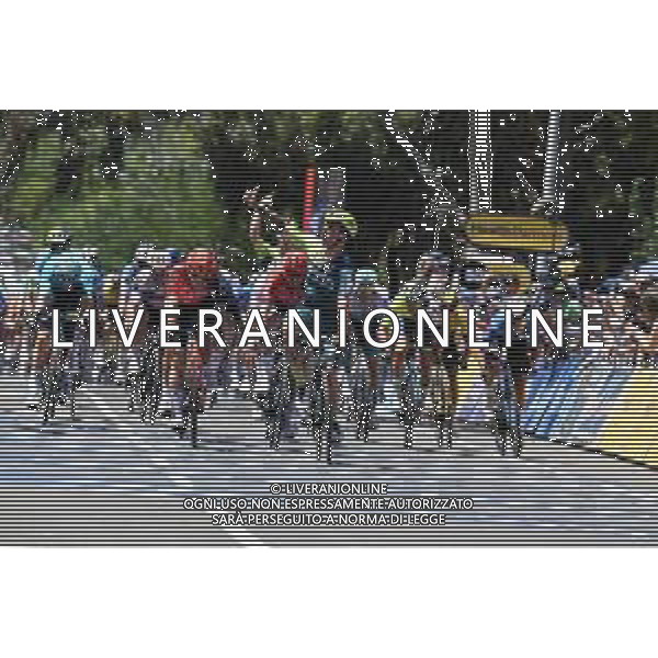 18-01-2024 Tour Down Under; Tappa 03 Tea Tree Gully - Campbelltown; 2024, Bora - Hansgrohe; 2024, Ineos Grenadiers; Welsford, Sam; Viviani, Elia; Campbelltown; ©SIROTTI/AGENZIA ALDO LIVERANI SAS