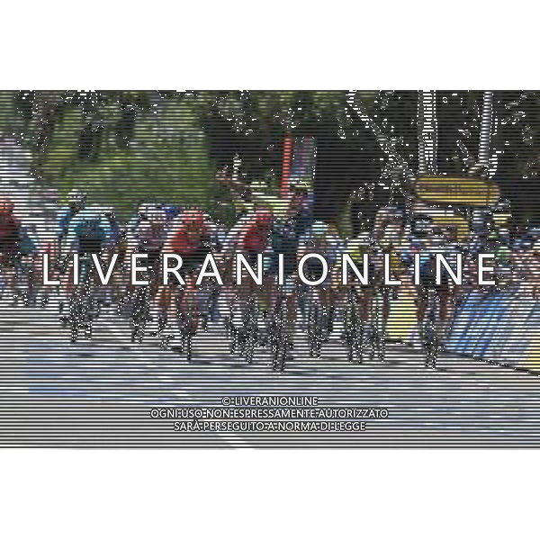 18-01-2024 Tour Down Under; Tappa 03 Tea Tree Gully - Campbelltown; 2024, Bora - Hansgrohe; 2024, Ineos Grenadiers; Welsford, Sam; Viviani, Elia; Campbelltown; ©SIROTTI/AGENZIA ALDO LIVERANI SAS