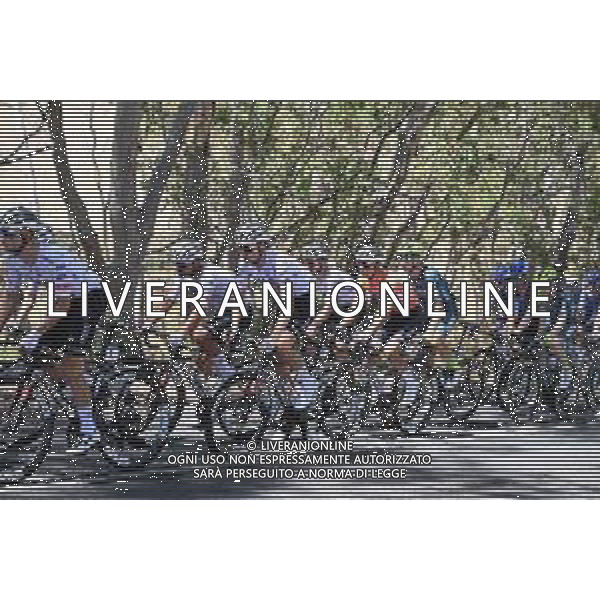 18-01-2024 Tour Down Under; Tappa 03 Tea Tree Gully - Campbelltown; 2024, Uae Team Emirates; Del Toro Romero, Isaac; ©SIROTTI/AGENZIA ALDO LIVERANI SAS