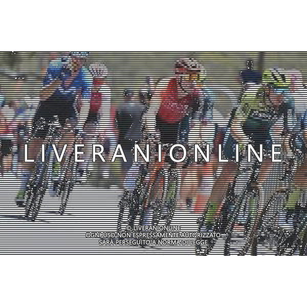 20-01-2024 Tour Down Under; Tappa 05 Christies Beach - Willunga Hill; 2024, Ineos Grenadiers; Viviani, Elia; Willunga Hill; ©SIROTTI/AGENZIA ALDO LIVERANI SAS