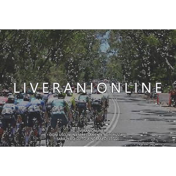 21-01-2024 Tour Down Under; Tappa 06 Unley - Mount Lofty; Mount Lofty; ©SIROTTI/AGENZIA ALDO LIVERANI SAS