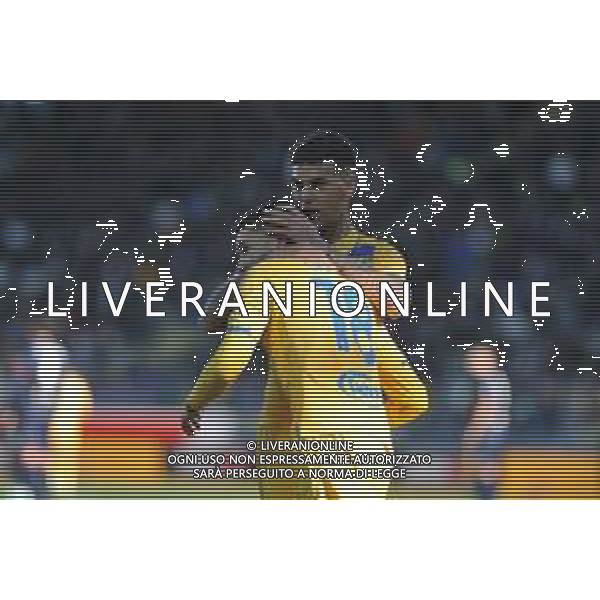 Frosinone vs Cagliari - Campionato Serie A TIM - 21 giornata - Stadio B.Stirpe - Frosinone 21-01-2024 nella foto Esultanza Soulè e Barrenechea ©Federico Gaetano/AGENZIA ALDO LIVERANI SAS