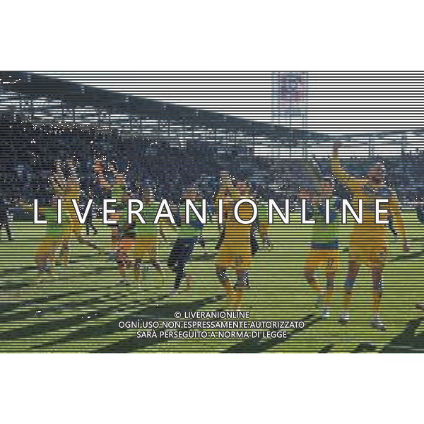 Frosinone vs Cagliari - Campionato Serie A TIM - 21 giornata - Stadio B.Stirpe - Frosinone 21-01-2024 nella foto Esultanza finale Frosinone ©Federico Gaetano/AGENZIA ALDO LIVERANI SAS