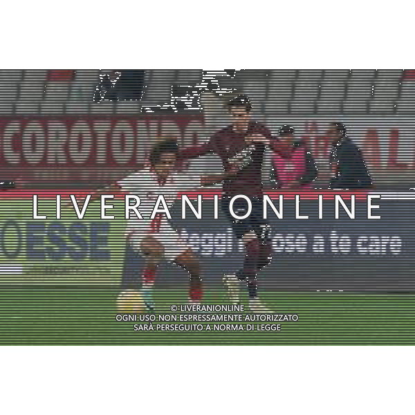 Mehdi Dorval of SSC Bari and Filippo Melgoni of Reggiana during the Italian Serie B match SSC Bari vs AC Reggiana 1919 on January 27, 2024 at the San Nicola stadium in Bari, Italy. Photo by Emmanuele Mastrodonato/ag. Aldo Liverani sas/AGENZIA ALDO LIVERANI SAS