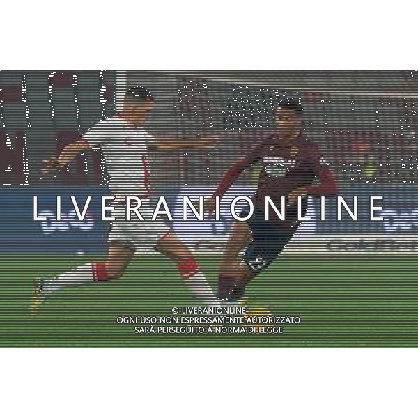 Alessandro Marcandalli of Reggiana and Karlo Lulic of SSC Bari during the Italian Serie B match SSC Bari vs AC Reggiana 1919 on January 27, 2024 at the San Nicola stadium in Bari, Italy. Photo by Emmanuele Mastrodonato/ag. Aldo Liverani sas