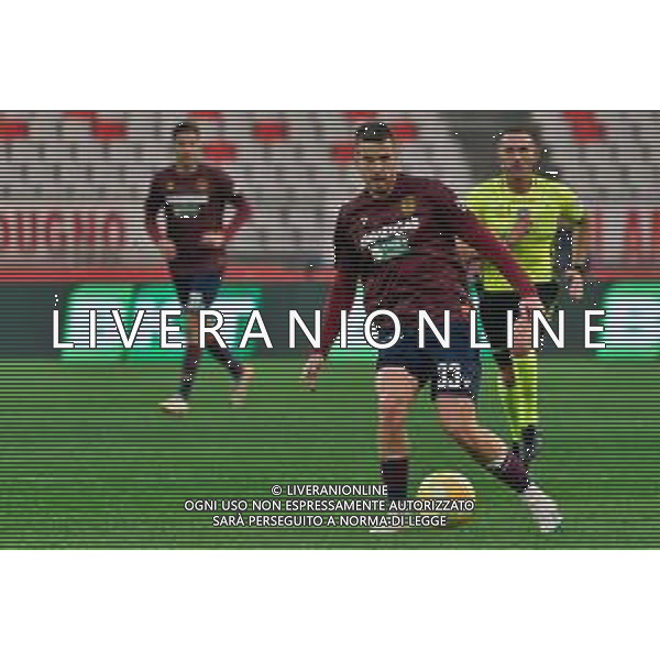 Domen Crnigoj of Reggiana during the Italian Serie B match SSC Bari vs AC Reggiana 1919 on January 27, 2024 at the San Nicola stadium in Bari, Italy. Photo by Emmanuele Mastrodonato/ag. Aldo Liverani sas