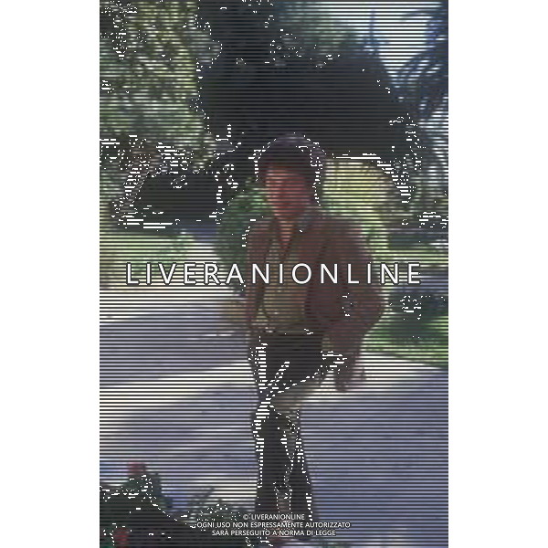 DIAP-RETROSPETTIVA RICCARDO COCCIANTE CANTANTE NELLA FOTO RICCARDO COCCIANTE AG ALDO LIVERANI SAS 