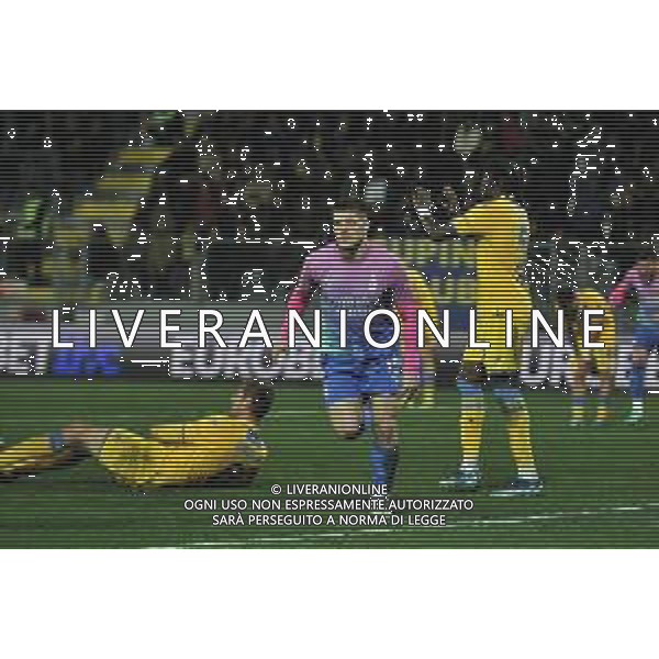 Frosinone vs Milan - Campionato Serie A TIM - 23 giornata - Stadio B.Stirpe - Frosinone 03-02-2024 nella foto Esultanza Jovic ©Federico GaetanoAGENZIA ALDO LIVERANI SAS