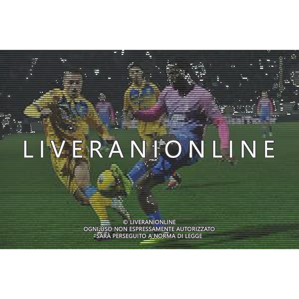 Frosinone vs Milan - Campionato Serie A TIM - 23 giornata - Stadio B.Stirpe - Frosinone 03-02-2024 nella foto Musah e Reinier ©Federico GaetanoAGENZIA ALDO LIVERANI SAS