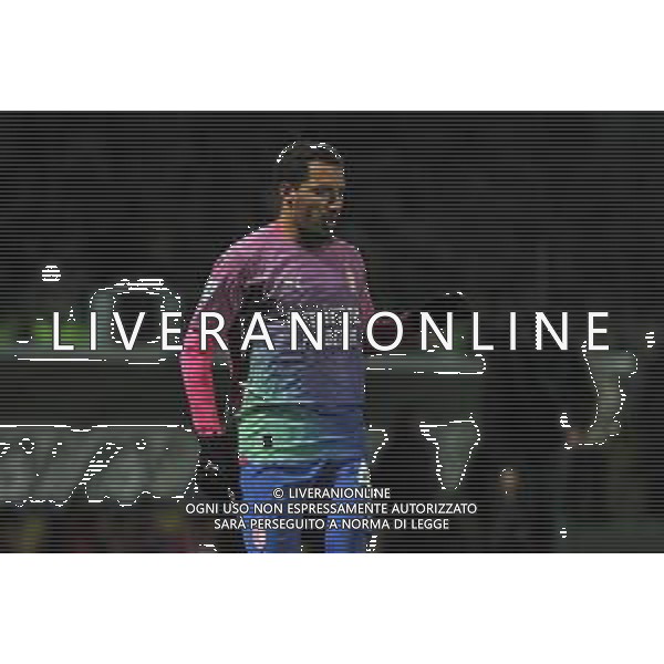 Frosinone vs Milan - Campionato Serie A TIM - 23 giornata - Stadio B.Stirpe - Frosinone 03-02-2024 nella foto Ismael Bennacer FOTO FEDERICO GAETANO-AG ALDO LIVERANI SAS