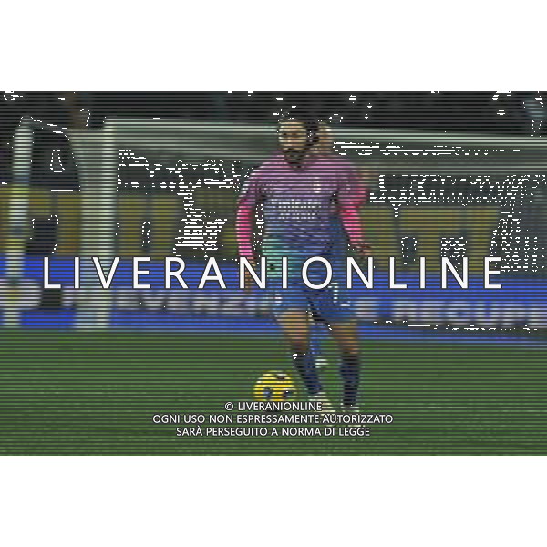 Frosinone vs Milan - Campionato Serie A TIM - 23 giornata - Stadio B.Stirpe - Frosinone 03-02-2024 nella foto Yacine Adli FOTO FEDERICO GAETANO-AG ALDO LIVERANI SAS