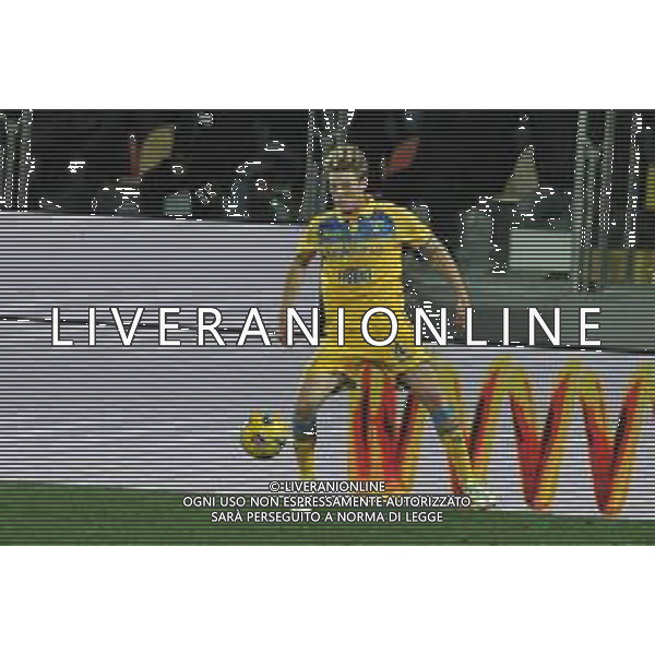 Frosinone vs Milan - Campionato Serie A TIM - 23 giornata - Stadio B.Stirpe - Frosinone 03-02-2024 nella foto Marco Brescianini FOTO FEDERICO GAETANO-AG ALDO LIVERANI SAS