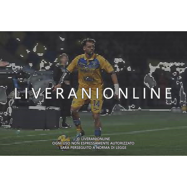 Frosinone vs Milan - Campionato Serie A TIM - 23 giornata - Stadio B.Stirpe - Frosinone 03-02-2024 nella foto Francesco Gelli FOTO FEDERICO GAETANO-AG ALDO LIVERANI SAS