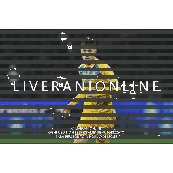 Frosinone vs Milan - Campionato Serie A TIM - 23 giornata - Stadio B.Stirpe - Frosinone 03-02-2024 nella foto Matias Soulè FOTO FEDERICO GAETANO-AG ALDO LIVERANI SAS