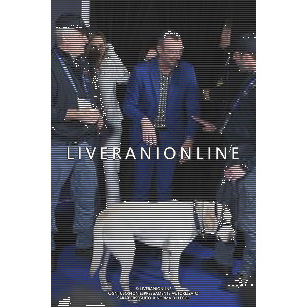 Festival Sanremo 2024 nella foto il cane anti esplosivo della Polizia di Stato incaricato di fare la bonifica del Teatro Ariston 74mo Festival della Canzone Italiana, photocall del 09 febbraio Teatro Ariston - Sanremo (IM) 09-02-2024 foto Roberto Garavaglia/agenzia Aldo Liverani sas