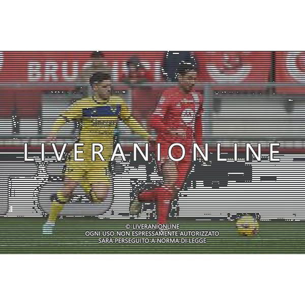 TVRG Monza vs Hellas Verona nella foto Ruben Goncalo Vinagre (Hellas Verona) e Armando Izzo (Monza) Monza 11-02-2024 U-Power Stadium Campionato Serie A TIM - 24a giornata foto Roberto Garavaglia/Agenzia Aldo Liverani sas/AGENZIA ALDO LIVERANI SAS