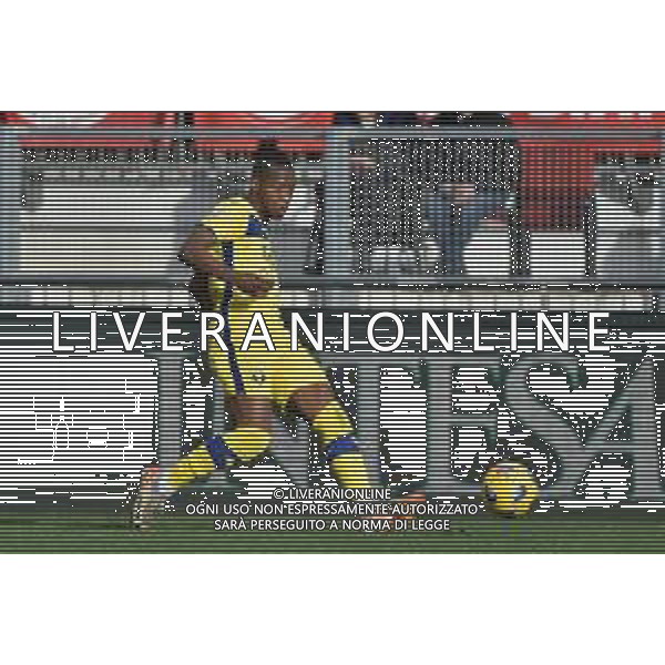 TVRG Monza vs Hellas Verona nella foto Tijjani Noslin (Hellas Verona) Monza 11-02-2024 U-Power Stadium Campionato Serie A TIM - 24a giornata foto Roberto Garavaglia/Agenzia Aldo Liverani sas