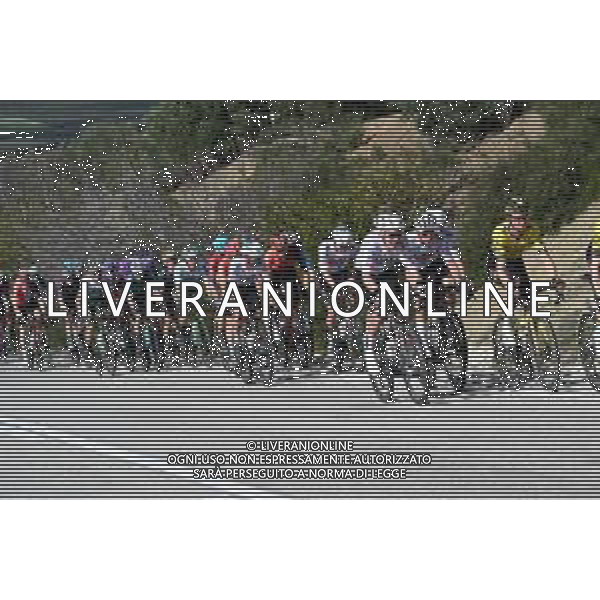 12-02-2024 Clasica Jaen; 2024, Uae Team Emirates; FOTO STEFANO SIROTTI-AG ALDO LIVERANI SAS