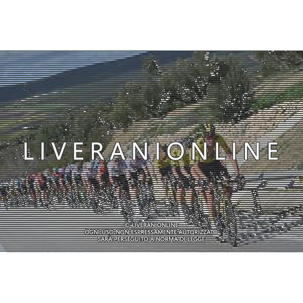 12-02-2024 Clasica Jaen; 2024, Visma - Lease A Bike; Gesink, Robert; FOTO STEFANO SIROTTI-AG ALDO LIVERANI SAS