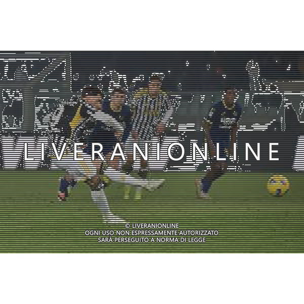 Hellas Verona vs Juventus nella foto Dusan Vlahovic (Juventus) segna il gol dell\'1 a 1 Verona 17-02-2024 Stadio Marcantonio Bentegodi Campionato Serie A TIM - 25a giornata foto Roberto Garavaglia/Agenzia Aldo Liverani sas